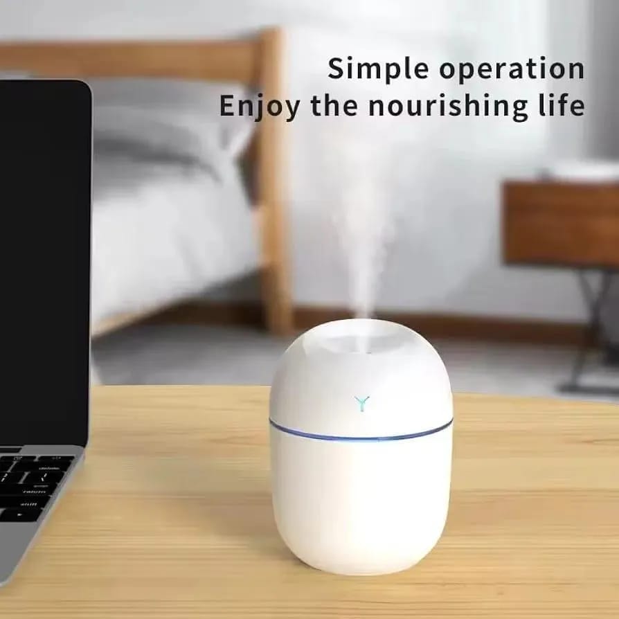 Portable Air Humidifier
